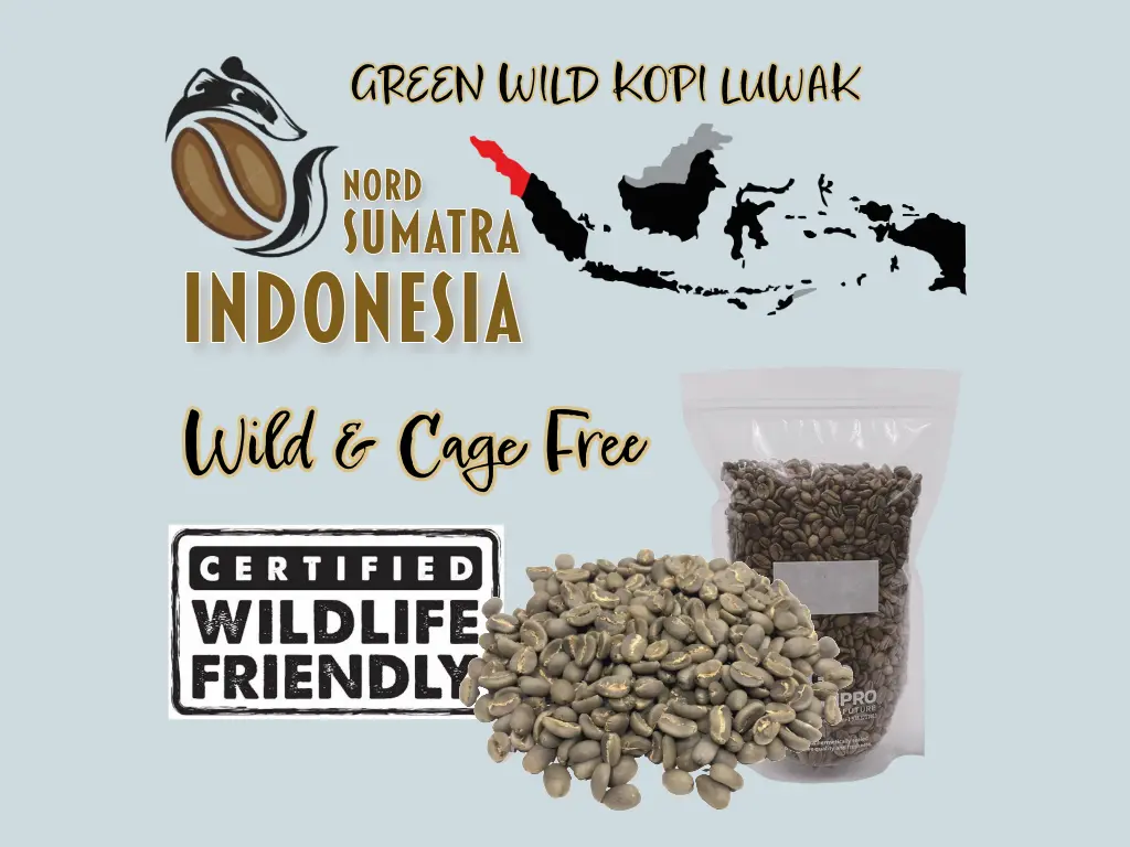 Green Coffee "LUWAK" WILD Certified, Da'Gabo, Grade 1 TP, Sumatra Indonesia, Washed, 10kg