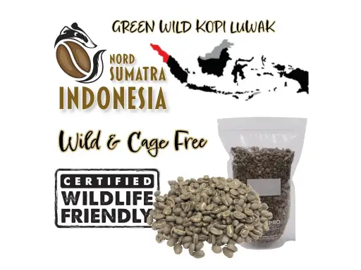 Rohkaffee "LUWAK" WILD Zertifiziert, Da'Gabo, Grade 1 TP, Nord Sumatra Indonesia, Gewaschen